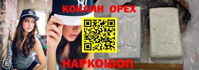 прущие грибы Можга