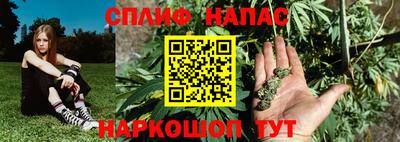 не бодяженный Моздок