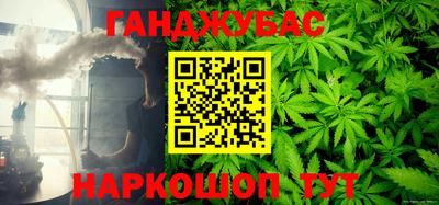 прущие грибы Можга